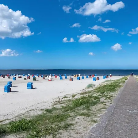 Pfeffermuschel * Nessmersiel