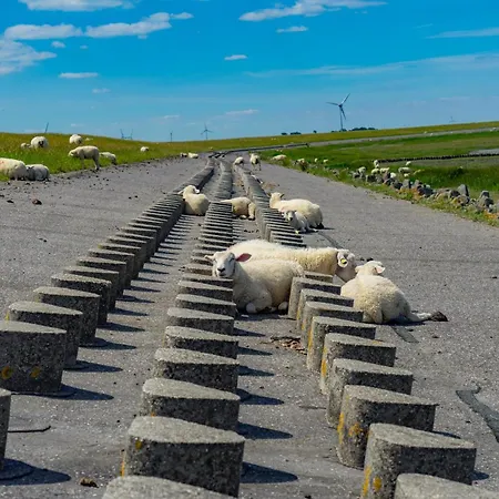 Casa de Férias Pfeffermuschel