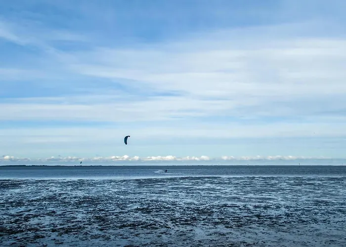 Pfeffermuschel Tatil Evi *