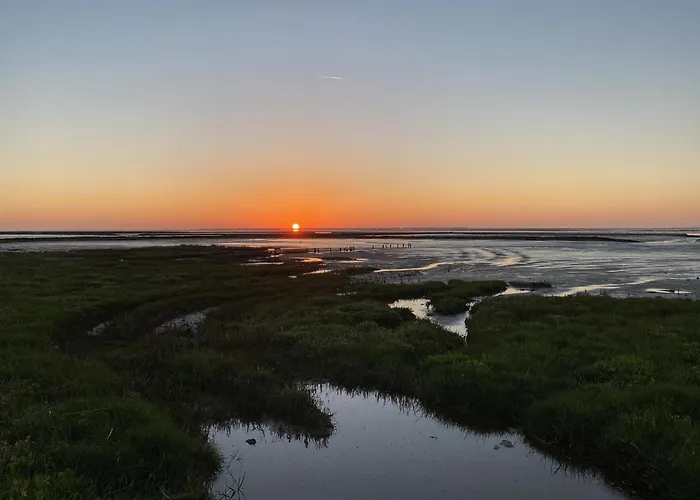 Pfeffermuschel Tatil Evi *