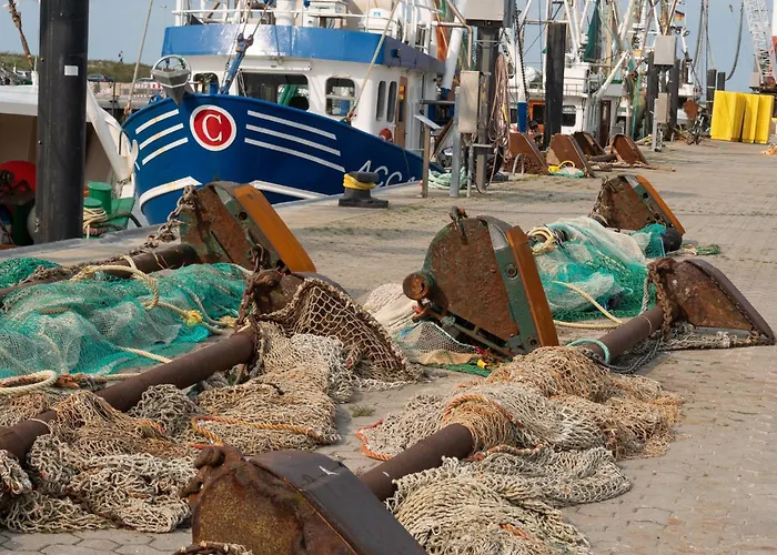 Pfeffermuschel Tatil Evi Neßmersiel