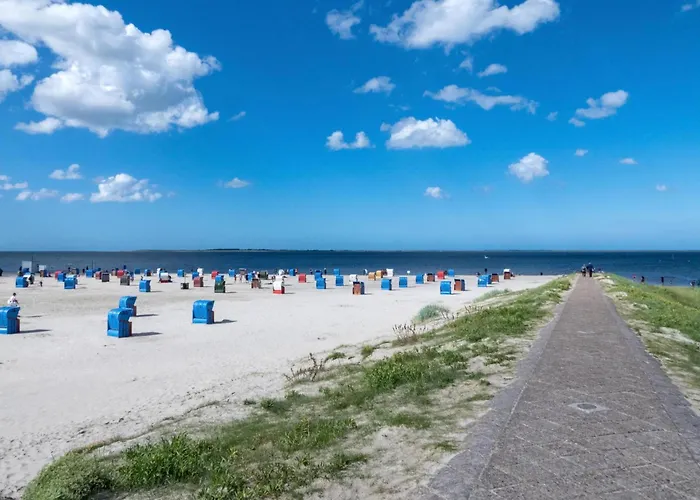 Tatil Evi Pfeffermuschel